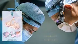Pressure-Controlled Ventilation with Volume Guarantee (PCV-VG) advantages