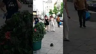 Subscribe! She was Absolutely SHOCKED!! #shorts #funny #bushman