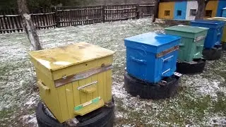 Весенние лечебные подкормки пчёл
