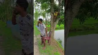কি করলো এটা।।।