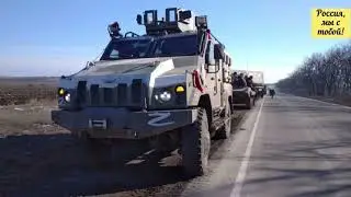 1 клип - 