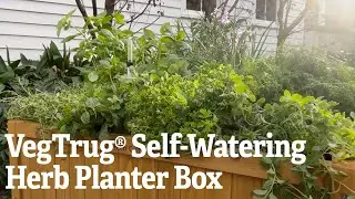 VegTrug® Self-Watering Herb Planter Box