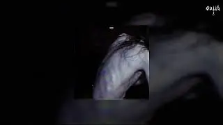 BONES - LAKEVIEWCEMETERY /// LEGENDADO