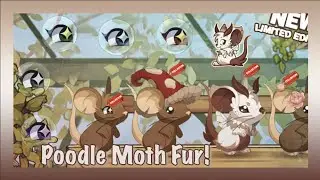 Transformice: Poodle Moth Fur & Giveaway #46!