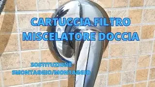 Cartuccia filtro miscelatore doccia-sostituzione. Smontaggio/Montaggio