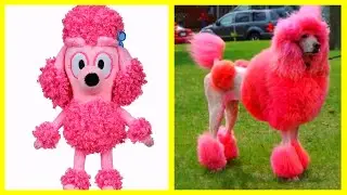 Bluey Characters In Real Life