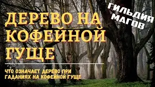 Дерево на кофейной гуще - значение и толкование символа в гаданиях
