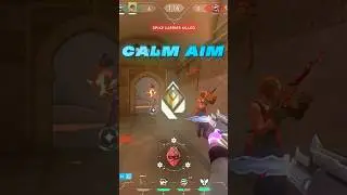 Satisfying Calm Aim