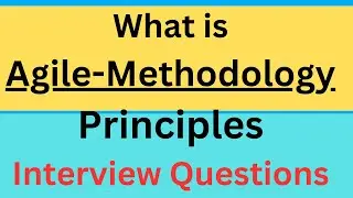 What is Agile Methodology | What is Agile | Agile Process and principles
