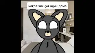 когда чихнул один дома