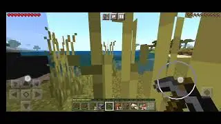 первое видео!!!