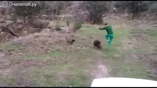 Веселая  пробежка