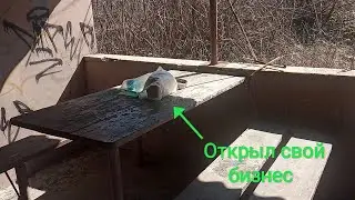 Открыл свой бизнес:D