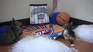 Thunder Kitties say Thunder Up!