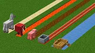 who will reach the finish line faster?