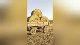 перевозка сена