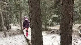 Ester balancing in the snow