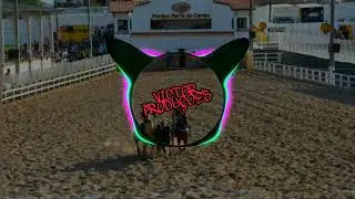 Festa de Vaquejada - Vitor Fernandes