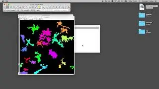 Microglia Morphometry Fiji: Segmentation and Tracking