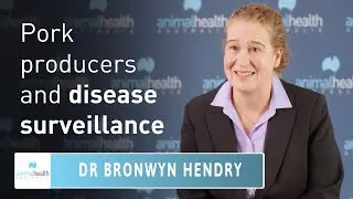 Pork producers and animal health surveillance 🐖🔎 Animal Health Australia