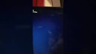 Nintendo Switch on Raspberry Pi 4