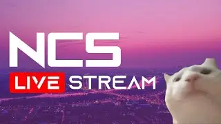 🎶 NCS Livestream #25 🎧 [Drum & Bass]