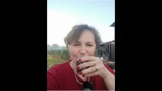 Как в Сибири делают молдавское вино
