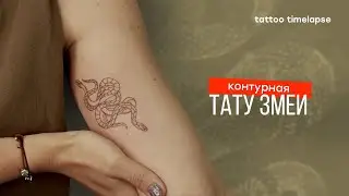 ТАТУ НА РУКЕ ДЛЯ ДЕВУШКИ - КОНТУРНЫЕ ЗМЕИ / TATTOO SNAKE TIMELAPSE