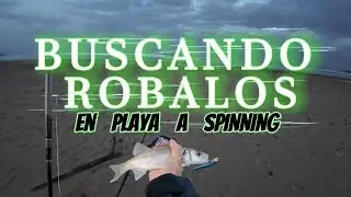 BUSCANDO ROBALOS (LUBINAS) EN PLAYA A SPINNIG.
