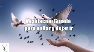 Meditación para soltar / dejar ir a alguien  | Libérate de lazos energéticos - Meditación Guiada