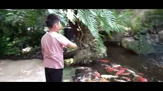 Hutan didalam hotel !!!