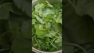 sayur bayam bening
