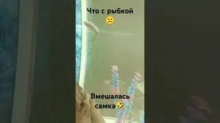 21 мая 2024 г.