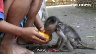Remind: Adorable Heidi Very Happy To See Little Boy Provide the Mango|Heidi Group