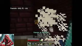 LLEVANDOME MIS ITEMS MINECARFT