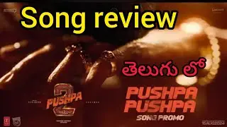 Pushpa Pushpa song promo | Pushpa 2 first single | Pushpa 2 song promo review | Telugu movies update