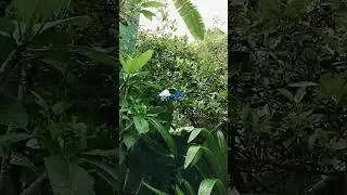 close your eyes and listen to the nature 