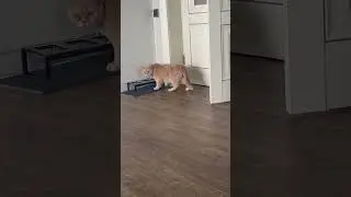 Наше утро