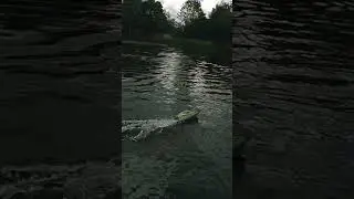 Brand New Speed Boat Tested! #rc #rcboat #rcspeedboat