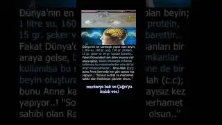 Mucize Çağrı kulakver#allha #Kur'an #ayetleri #oku #din  #dua  #tevhid #uyarı #bilgi #shorts #keşfet