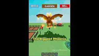 The Biggest Phoenix  