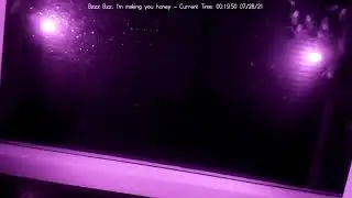 Beeeeees, not the beeees