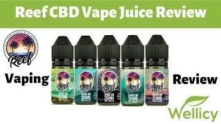 Reef CBD Vape Juice Review | Broad Spectrum CBD