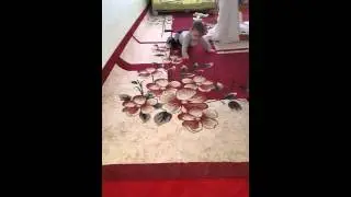 Чеченец зажигает