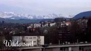 Swiss Trip