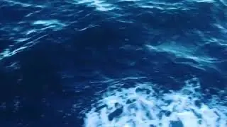 Паром Охотское море
