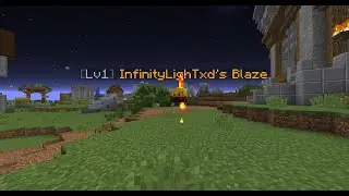 I crafted blaze pet in hypixel skyblock