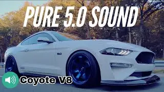 Eric's Ford Mustang GT S550 | Rays 57DR (Sputter Blue)