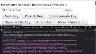 System introduction, server and client for chat, transaction, PKI, protester's software tutorial