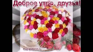 С ДОБРЫМ УТРОМ ОТ КОЛОМАЦКОГО МАКСИМА